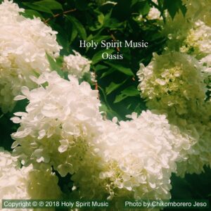 Holy Spirit Music - Oasis - Music Cover Art Holy Spirit Music - Oasis - Music Cover Art