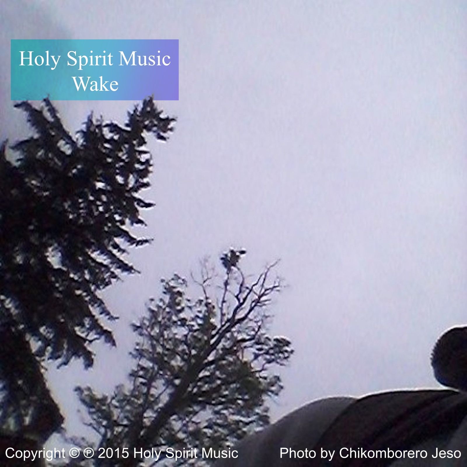 Holy Spirit Music - Wake - Music Cover Art