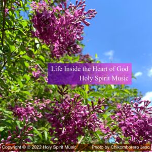 Holy Spirit Music - Life Inside the Heart of God - Music Cover Art Holy Spirit Music - Life Inside the Heart of God - Music Cover Art