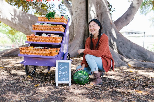 The Children's Newsletter by Bitney - Female Farmer Selling Fruits and Vegetables at a Farm Stand - Pexels