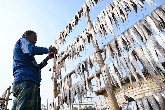 The Children's Newsletter by Bitney - Man Drying Fish to Hang - Pexels