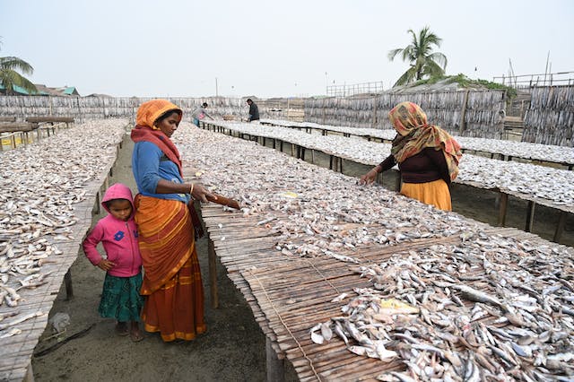 The Children's Newsletter by Bitney - Women Drying Fish - Pexels