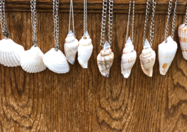 The Children's Newsletter by Bitney - Sea Shell Necklaces