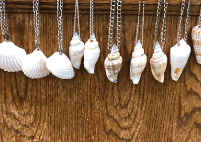 The Children’s Newsletter by Bitney – Seashell Necklaces The Children's Newsletter by Bitney - Sea Shell Necklaces
